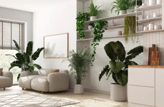 Sustainable Home Decor: Eco-Friendly Ideas for a Greener Space